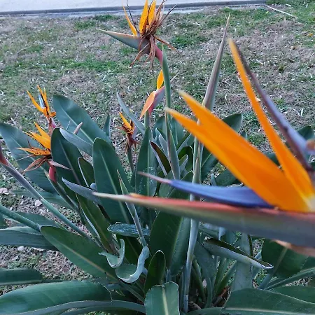 דירה Mediterranee Paradise *